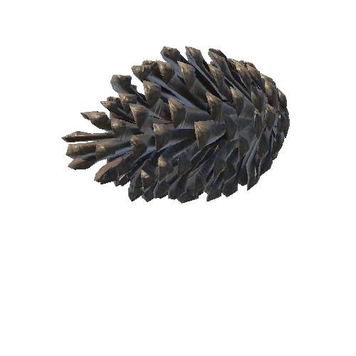 pine cone 2_low